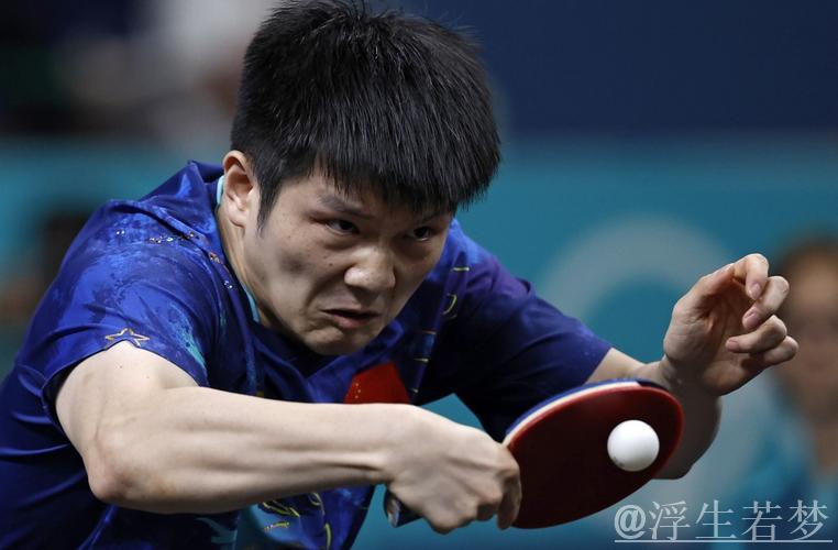 樊振东独揽两分助上海地产险胜山东鲁能3-2